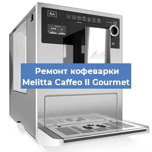 Ремонт кофемолки на кофемашине Melitta Caffeo II Gourmet в Красноярске